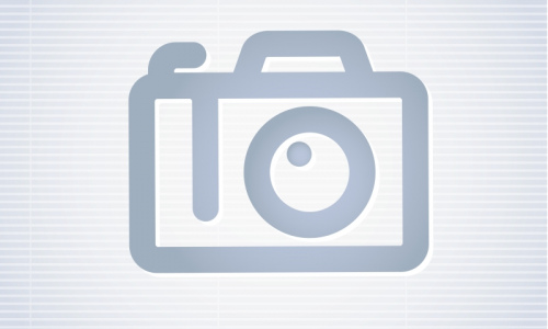 The High-Street Brand Fashion